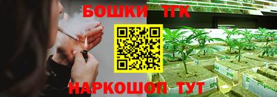 стаф Кунгур
