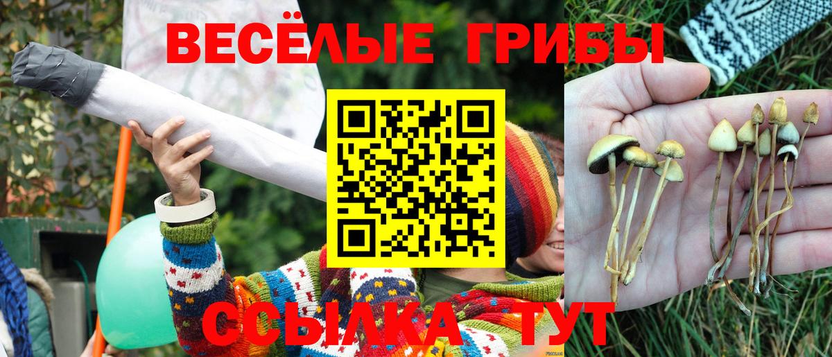 Псилоцибиновые грибы мухоморы Дальнереченск
